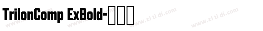 TrilonComp ExBold字体转换